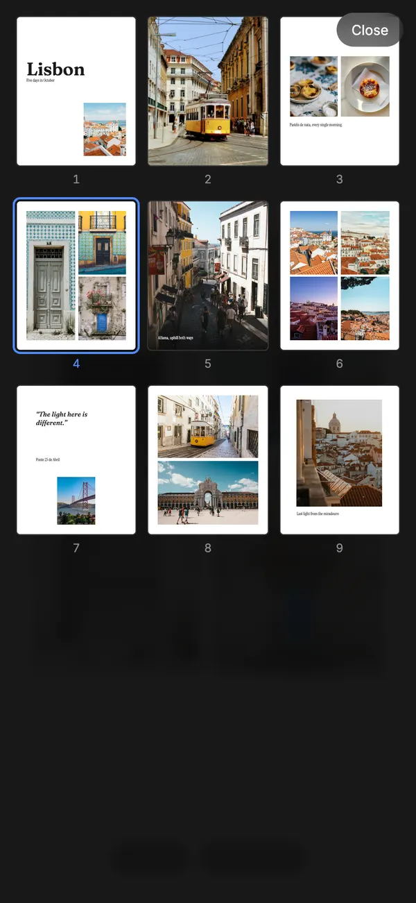A grid of page thumbnails for jumping to any page of the book.